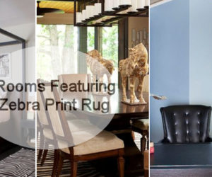 5 Rooms Featuring a Zebra Print Rug
