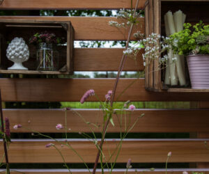 8 Backyard Privacy Mistakes and How to Fix Them