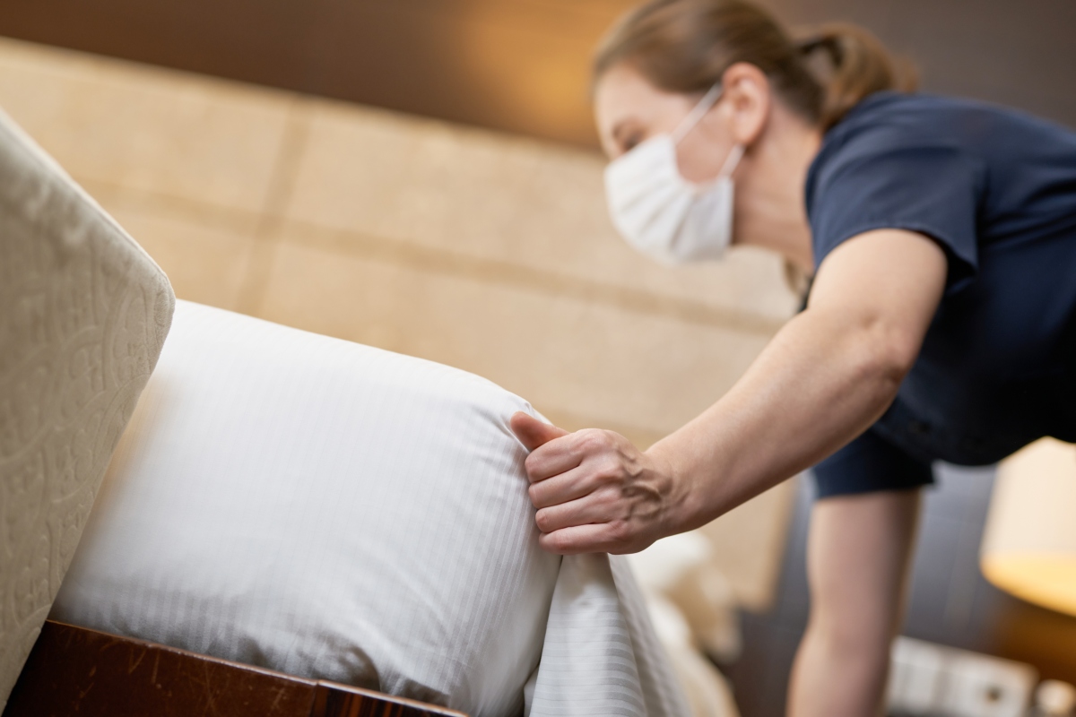 Bed bugs get rid