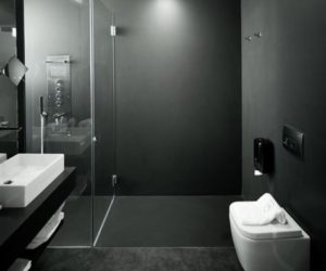 The Defining Characteristics Of Modern Walk-in Showers