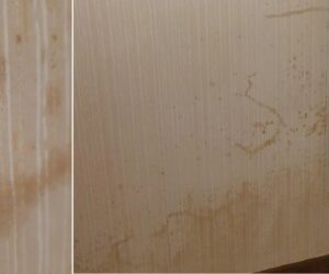 Brown Stains on Wallpaper: A Sign of Trouble?