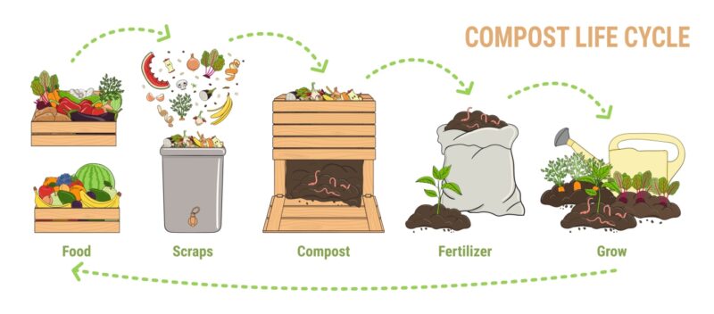 Composting Tips and Tricks You’ll Wish You Knew
