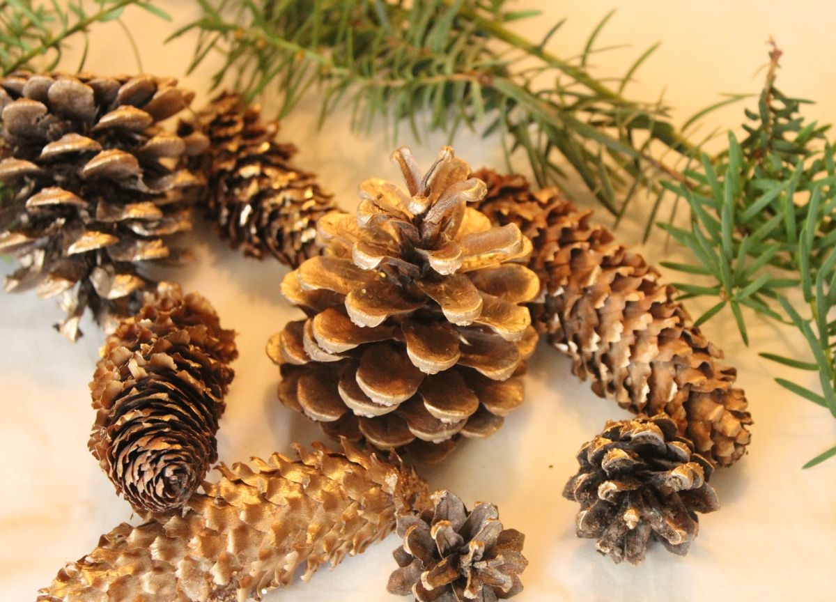 unique decoration to your Christmas tree