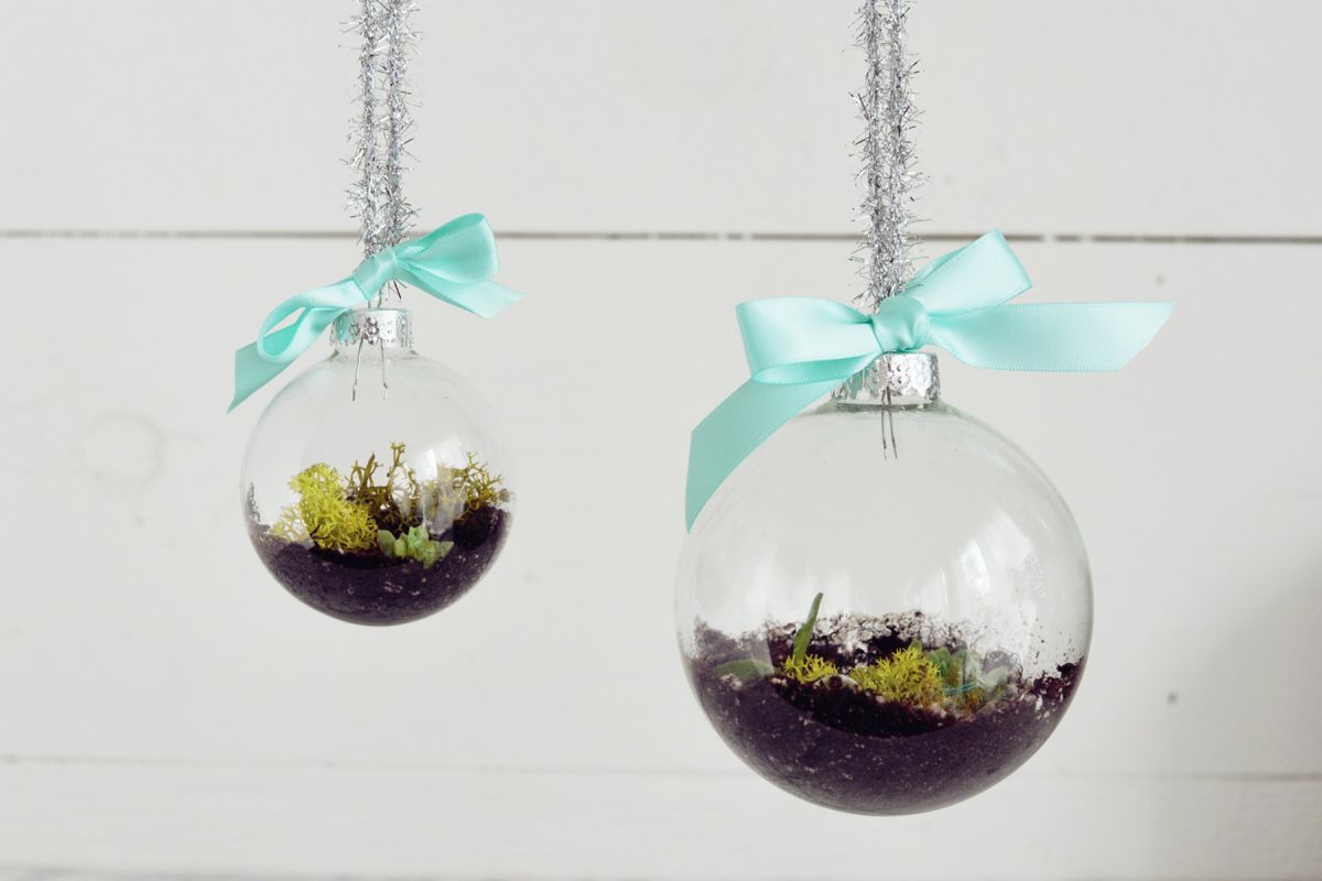 DIY Terrarium Ornaments Eco