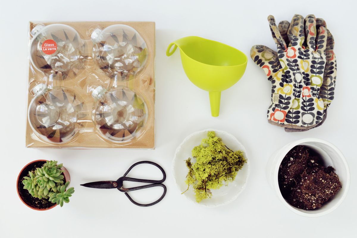 DIY Terrarium Ornaments Suppliers