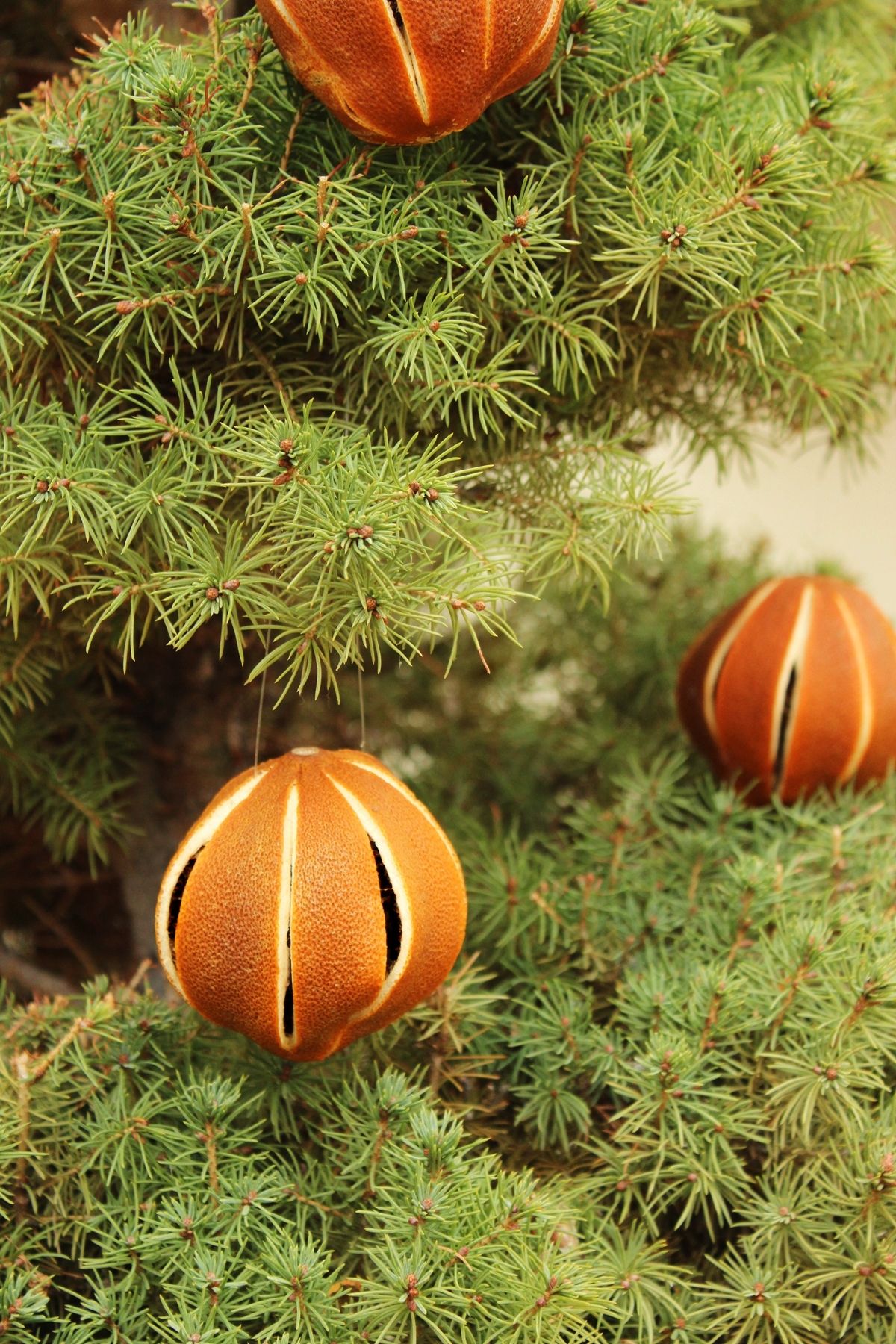 How to decorate a Christmas tree with natural ornaments dried orange