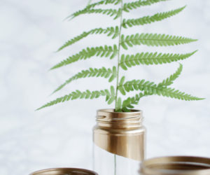 How To Paint Mason Jars – DIY Step By Step Project