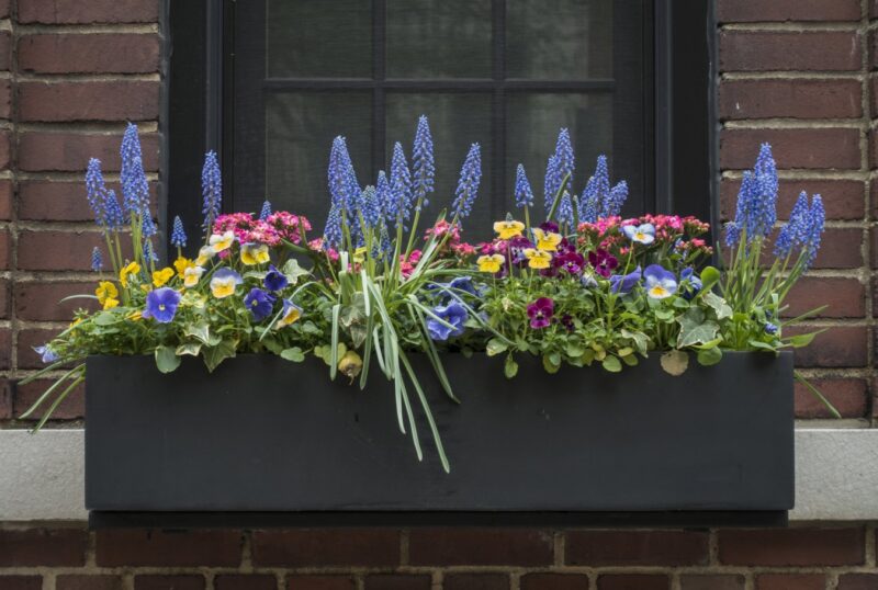 Selling Your House? This Inexpensive Feature Will Help You Get 48% More Saves on Zillow