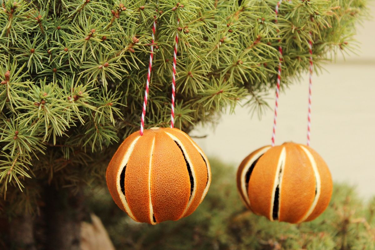 Dried Oranges