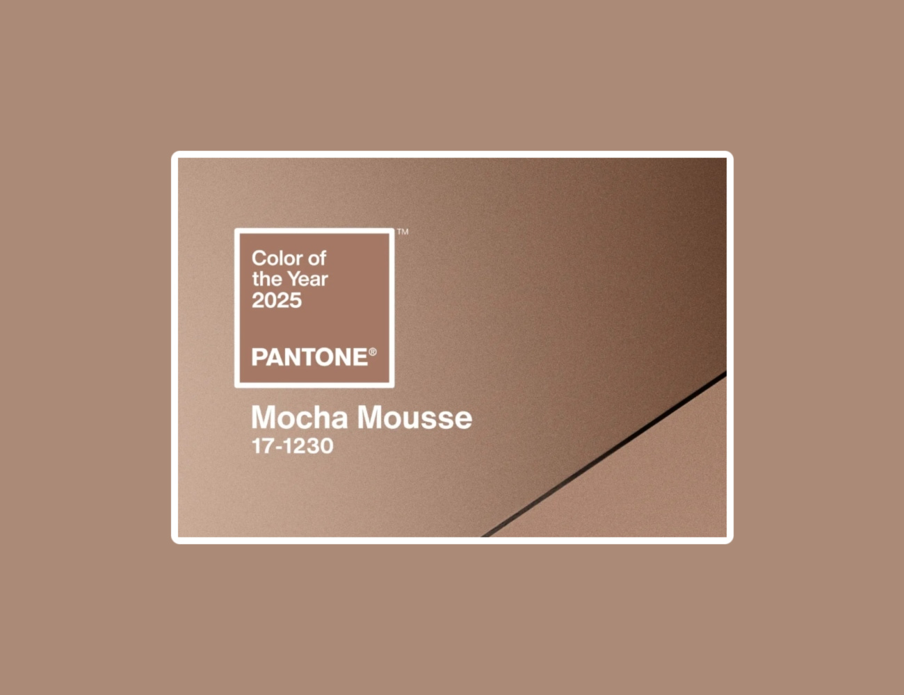 Mocha Mousse Pantone of the year 2025