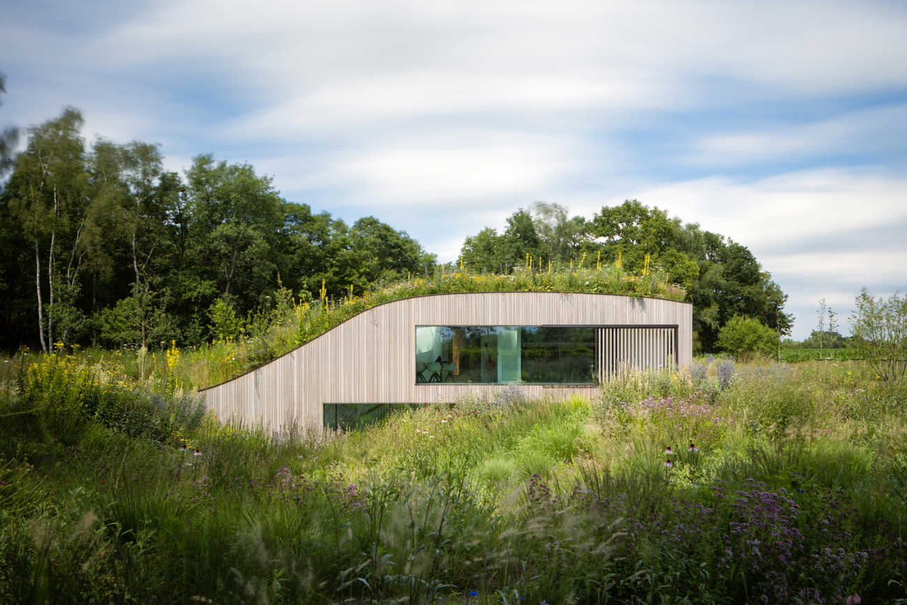 Modern underground house in Netherlands before after