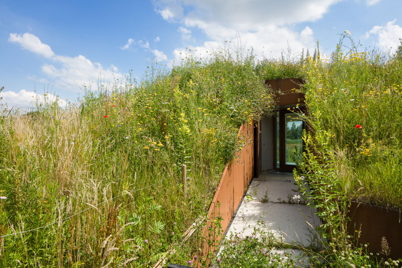 Modern underground house in Netherlands before after