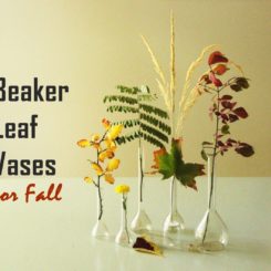 Simple Fall DIY Décor: Beaker Leaf Vases