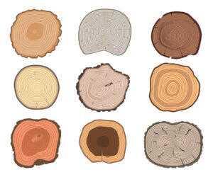 19 Different Types of Wood for Home Projects