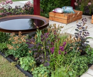 Create A Tropical Landscape Getaway In Your Own Yard