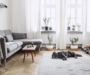 White Living Room Design Ideas For All Budgets And Styles
